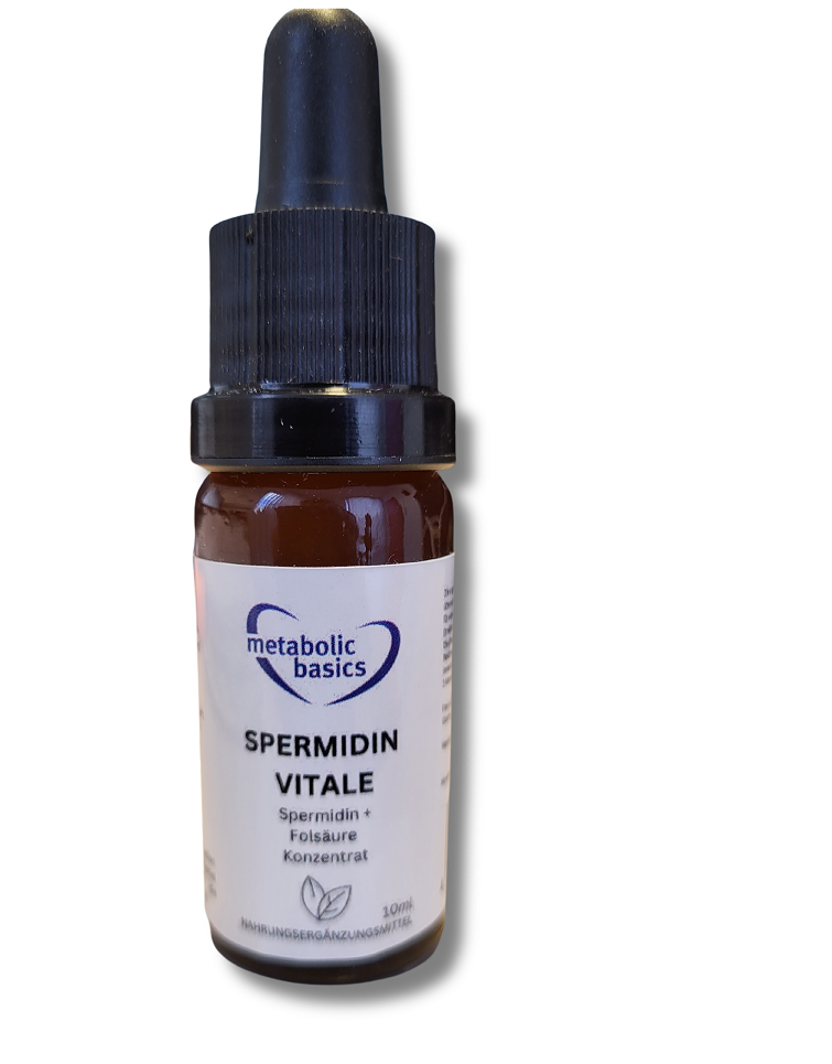 Metabolic Basics-Spermidin Spermidin